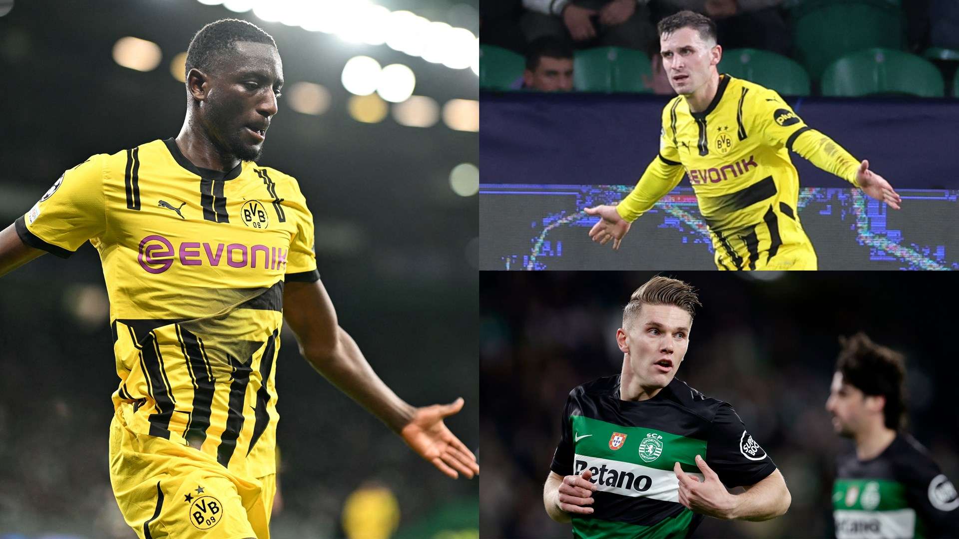 引拥有商业 引拥有商业